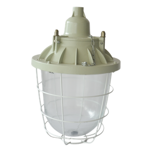Explosion-Proof Lamp 2