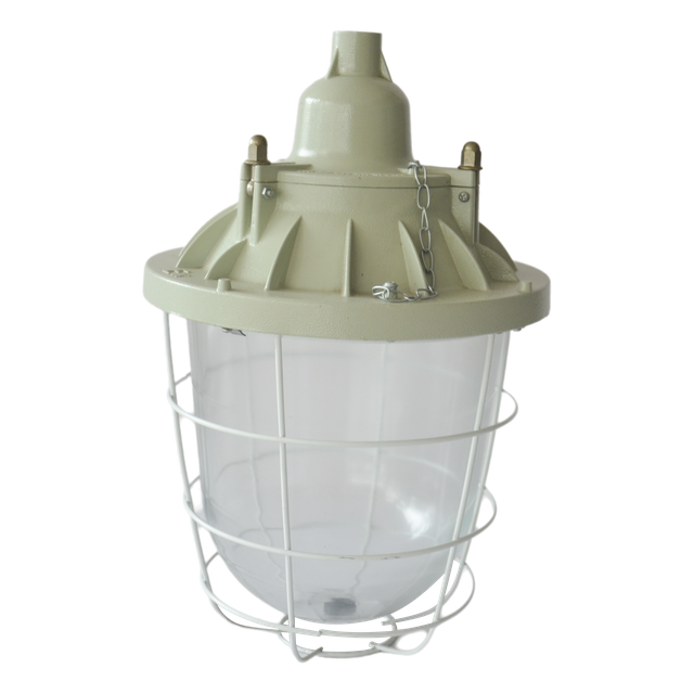 Explosion-Proof Lamp 2