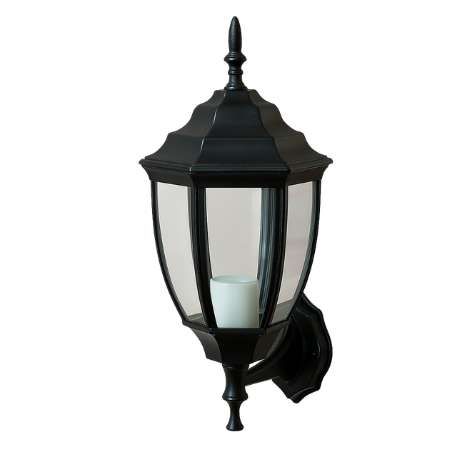 Curved hexagonal wall lamp(black)